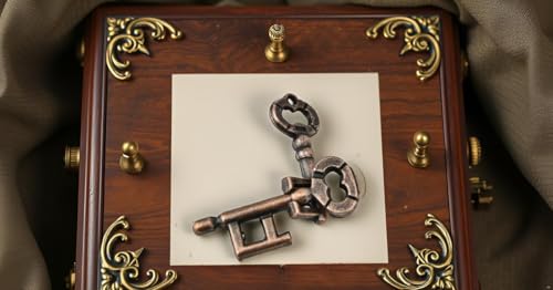 Entriegelungsspielzeug f¨¹r Erwachsene Kinder, Puzzle-Schnalle Tragbar, Stressabbau-Spielzeug Lernspielzeug Logikspielzeug Handheld Brain Teaser