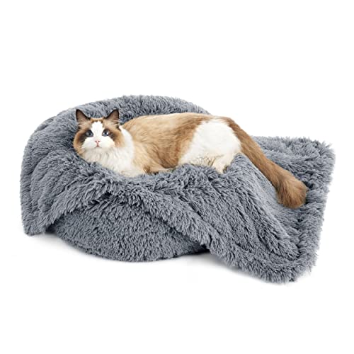 BEDSURE wasserdichte Hundedecke für kleine Hunde - 60 x 80 cm Langer Plüsch Hundedecke waschbar, Haustier Decke flauschig und weich, Schutzdecke Hundesofa, Katzendecke für Katzen, Grau