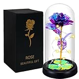 DONODA 1 Pack Rose Flower Gift for Women,Galaxy Glass Rose Crystal Flower Gift Light Up Rose in Glass Dome,Christmas Thanksgiving Valentine's Day Anniversary(Purple)