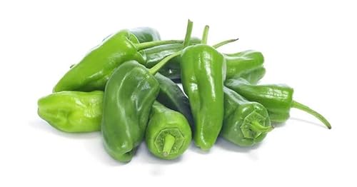Semillas Pimiento Padrón - Semillas Capsicum Annuum - Semillas de Verduras