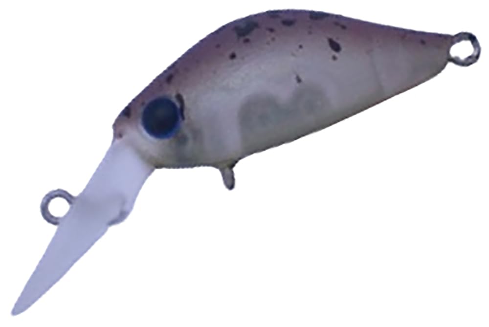 ディスプラウト(Daysprout) Rita (リタ) MS