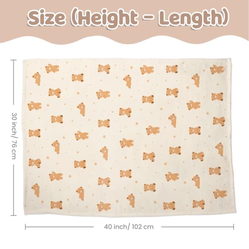 Image of SANDJEST Bear Minky Blanket 30 x 40 Inches, Gift for Christmas Birthday
