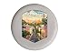 Chicago Illinois Design A Souvenir Flying Disc 4-Pack