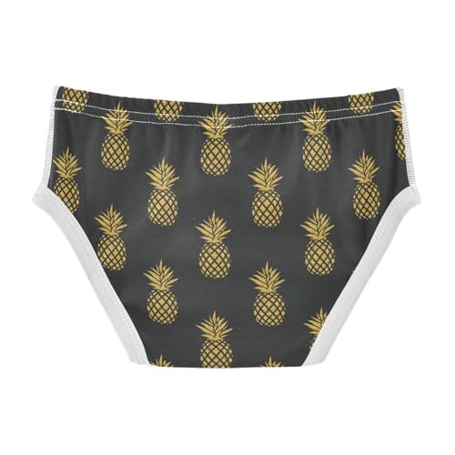 Boys' Exclusive Briefs Toddler Underwear 95% Combed Cotton Boxerbriefs 2T Pineapple Pattern 582