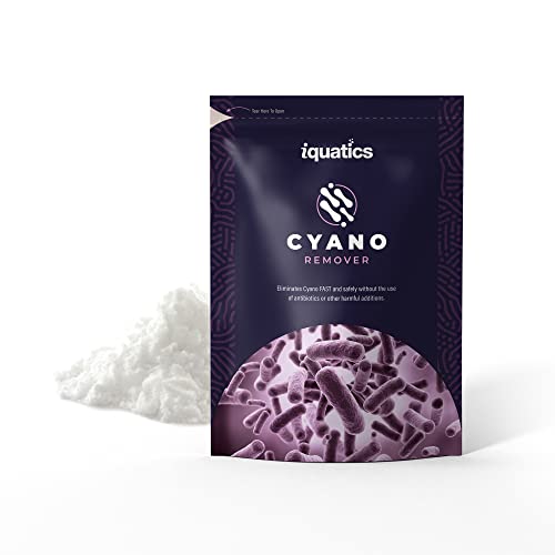 iQuatics Cyano Remover 150G, Red Slime Algae Treatment for Marine Aquariums, Reef-Safe, Fast-Acting & Easy to Use