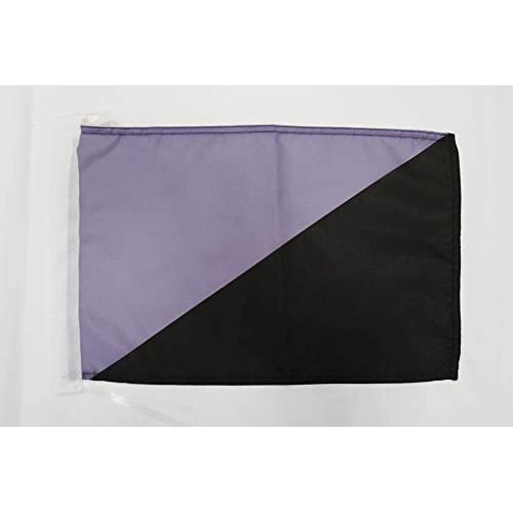 Iran Old Persia Flag 18'' x 12'' cords - Persian SMALL flags 30 x 45cm - Banner 18x12 in - AZ FLAG — view 766