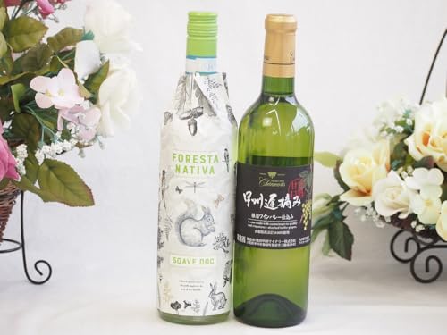 イタリアソアーヴェ白ワインと国産ワインセット(甲州遅摘み 白 完熟甘口ワイン 甘口(山梨県)720mlフォレスタ ナティヴァ ソアーヴェ (イタリア) 750ml