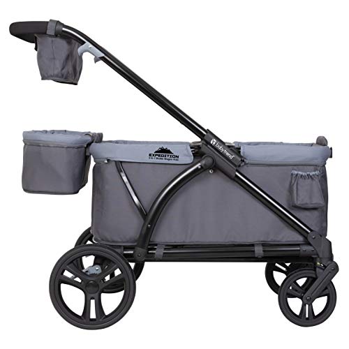 2 in 1 stroller wagon