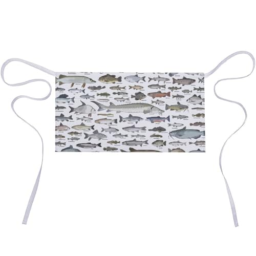 [A^A] Gv V[g ̕i ʔ Gv |Pbgt T JtF Y O|Gv jp jtH[ 牀 |  H ƒp h