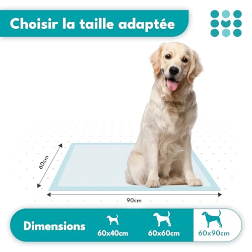 Accessoires puppy contre les fuites et accidents de propreté - 5