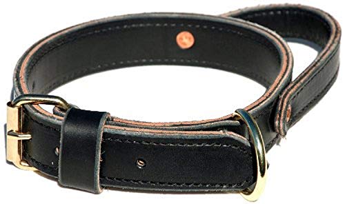 Ray Allen Mfg Signature K9 Mil Spec Agitation Collar with Handle, 1-1/4-Inch, Black