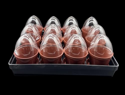 Kimmel 12 Stück Anzuchttöpfe mit Feuchtigkeitskuppel/Deckel im Set mit 1 Stück Anzuchtschale/Transportschale Blumentöpfe Pflanztöpfe