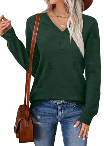 WIHOLL Sweaters for Women V Neck Long Sleeve Tops Fashion Lightweight Pullover Clothes Fall Outfits 2025