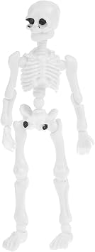 Lily Brown Movable Mr. Skeleton Human Model Skull Full Body Figure Toy Halloween Toy Box Storage