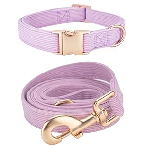 YUDOTE Dog Collar and Lead Set Small,Soft Non-irritant Corduroy Collar Leash Matching Combo for Daily Walking,Purple