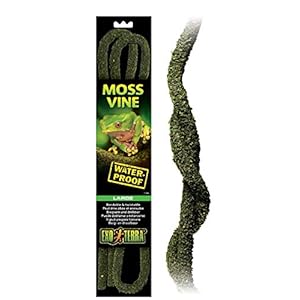 Exo Terra Moss Vine, mos liane, bemoste wijnstok, buigzaam en draaibaar, groot, L (1 stuk)