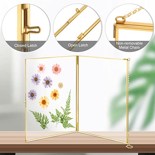 3 Pcs 8 X 12'' Double Glass Frame For Pressed Flowers Gold Hanging Floating Picture Frames With Chain Horizontal Clear Wall Mounted Photo Frame For Diy Dried Plant Flowers Specimen Artwork Gallery #TOP2