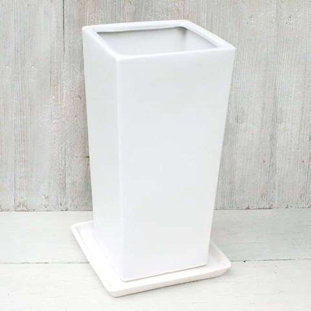 Amazon.co.jp: 植木鉢 おしゃれ 陶器鉢 トールスクエア S (2色