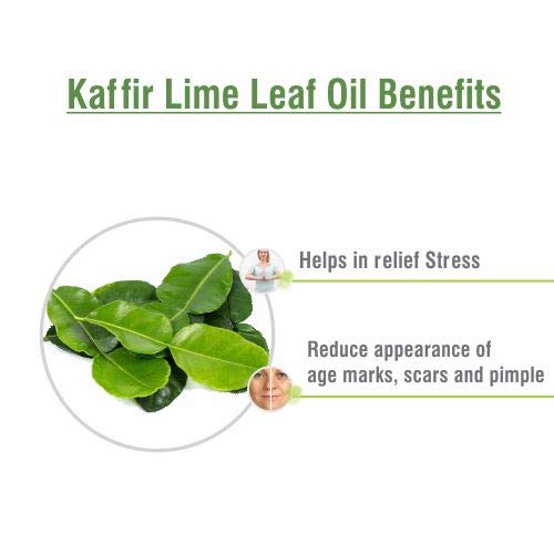 Image of B-Urban Kaffir Lime Leaf Oil 30 ml (1.01 fl oz) - Fresh Citrus-Green Oil for Haircare, Soap Making & DIY Blends