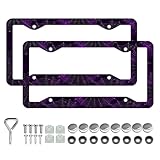 Gothic Spider Web License Plate Frames - 2 Pack Aluminum Front & Rear Auto Car Tag Holder, 4 Holes Heavy Duty Bracket with Mount Hardware, Rattle Proof Screws Fasteners Caps