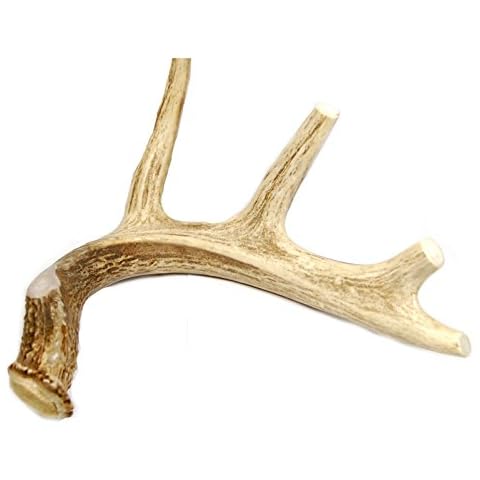 Extra Large Whole Deer Antler Dog Chew - for Large Dogs and Puppies Cover