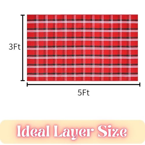 Ckorzen Red Green and White Plaid Rug,3' x 5' Christmas Front Porch Outdoor Rug, Handwoven Cotton Washable Rug for Layered Door Mats, Holiday Entryway and Home Décor