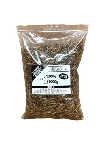 Wyt@[ ~[ 300g nX^[ K nlY~ X   a GT ^ Ai ঒ T J