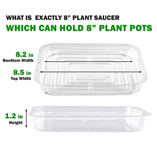 Ultraoutlet 20-Pack Square Plant Saucer 8 Inch Plastic Plant Trays Pot Saucers For Plants Clear Pot Drainage Tray Plant Plate To Catch Water, Bulk #TOP4