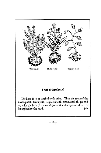 An Aztec Herbal: The Classic Codex of 1552 - Image 7