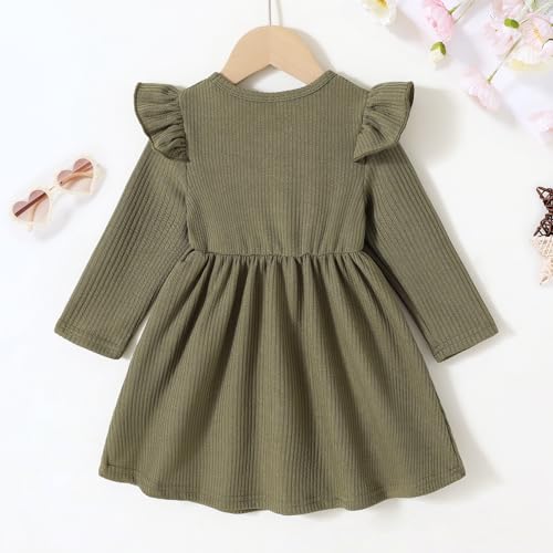 JEELLIGULAR Toddler Baby Girl Sweater Dress Fall Winter Clothes Outfits for Little Girls Long Sleeve Crew Neck Knit Dress2