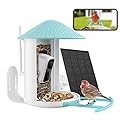 NETVUE Birdfy Lite-Smart Bird Feeder Camera, Auto Capture and Record Bird Videos & Push Motion Notification, WiFi Bird Camera, Bird Box Camera, Bird Watching Camera with App(Birdfy Lite + Solar Panel)