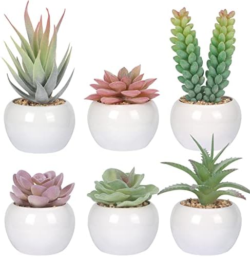 CEWOR 6pcs Succulents Plants Artificial in Mini White Ceramic Pots, Small Succulent in Pots Faux Succulent Fake Indoor Plants for Office Decor Home Decoration Bedroom Desk Bathroom Windowsills Aesthe