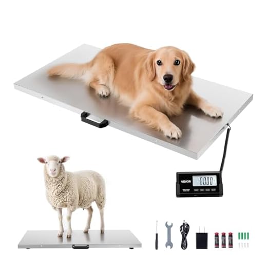 High-Accuracy Digital Shipping Scale
