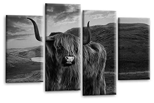 Scottish Highland Cattle Canvas Art Picture Grey White Animal Split Wall Print