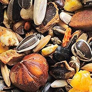 Garvo Alfamix for squirrels, 2 kg Quality ingredients (1060)