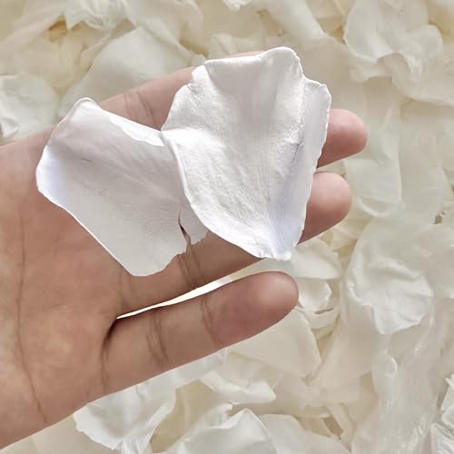 Real White Rose Petals Freeze Dried Flower Petals for Wedding 1.75Oz