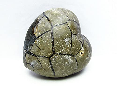 Amazon.co.jp: 1.8Kg マダガスカル産 タートルジャスパー ハート型