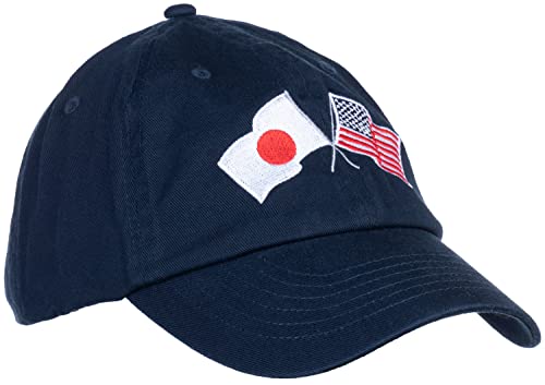 Image of Ann Arbor T-shirt Co. American Friendship Nations Flag Baseball Low Profile Dad Hat for Men Women