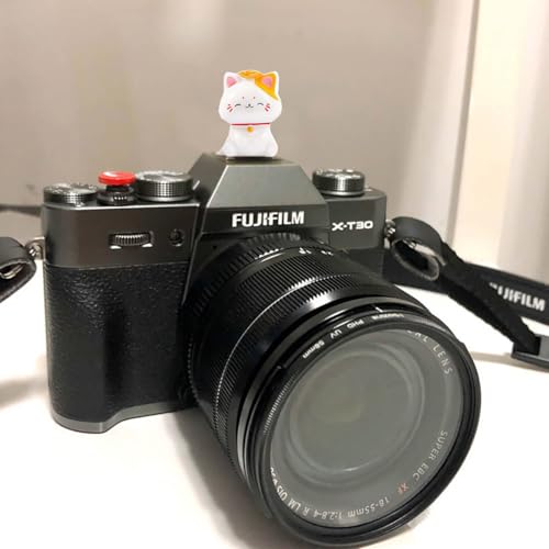 Image of Camera Hot Shoe Cover, Cute Hot Shoe Cap, Hot Shoe Protector Compatible with Sony Fujifilm Fuji Canon Nikon Pentax Leical Panasonic (Lucky Cat)