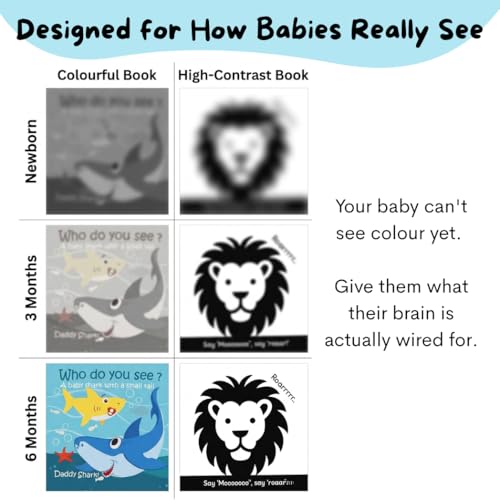 Image of Nubokind Flash Cards for New Born Baby | High Contrast Flash Cards for 0-3 Months (Pack of 3 Soft Books) | Black and White High Contrast Baby Toys for 0-6 Months | Sensory Tummy Time Toys for Babies