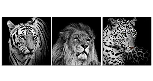 Feeby Quadro su Tela Leone Tigre Elefante 3 Pezzi