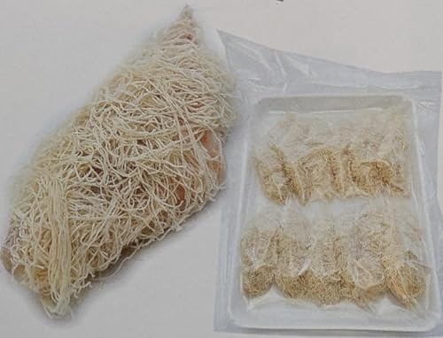 JTS J_Ct 12i30j×8P Ɩp Ⓚ