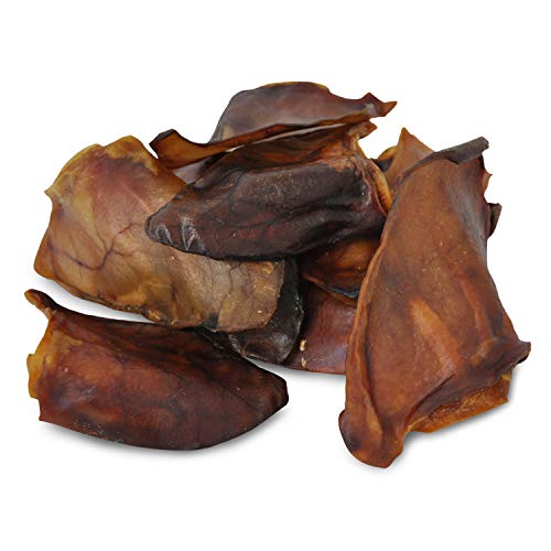 Bush's Baked Beans Dog Costumes Buy Bush's Baked Beans Dog Costumes