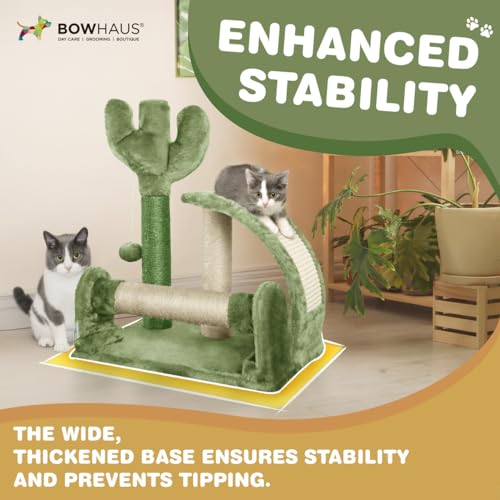 BOWHAUS Cactus Cat Tower 20-Inch para gatos miniatura 4
