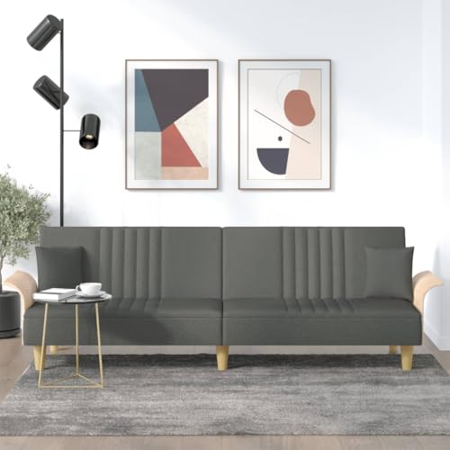 sephironlbb Sofá cama con reposabrazos de tela gris oscuro, 224 x 89 x 70 cm, 2 cojines, respaldo ajustable, juego de tapicería duradero con función de dormir para salón y habitación de invitados