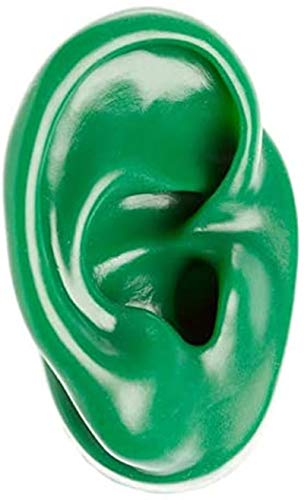 Modell Medizinisches Lehrmodell Weiches Silikon künstliches menschliches Ohrmodell - Simulation Silikonohrmodell für Akupunktur Piercing-Praxis,