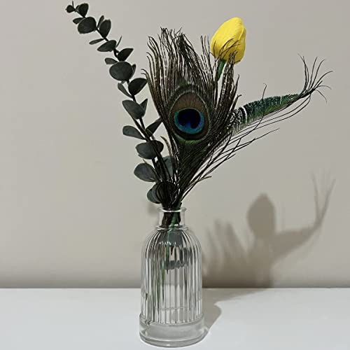 50Pcs 12-14 Inches Real Natural Peacock Sword Feathers For Craft Wedding Home Decoration (Right) #TOP6