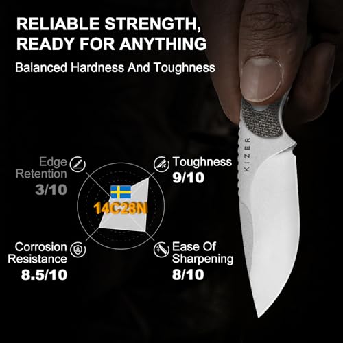 Amazon.com: Kizer: Buddy