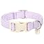 Stripe Purple