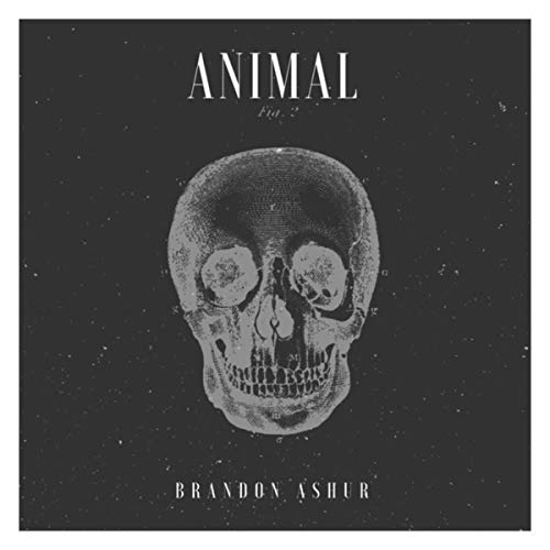 Amazon.co.jp Animal Brandon Ashur デジタルミュージック